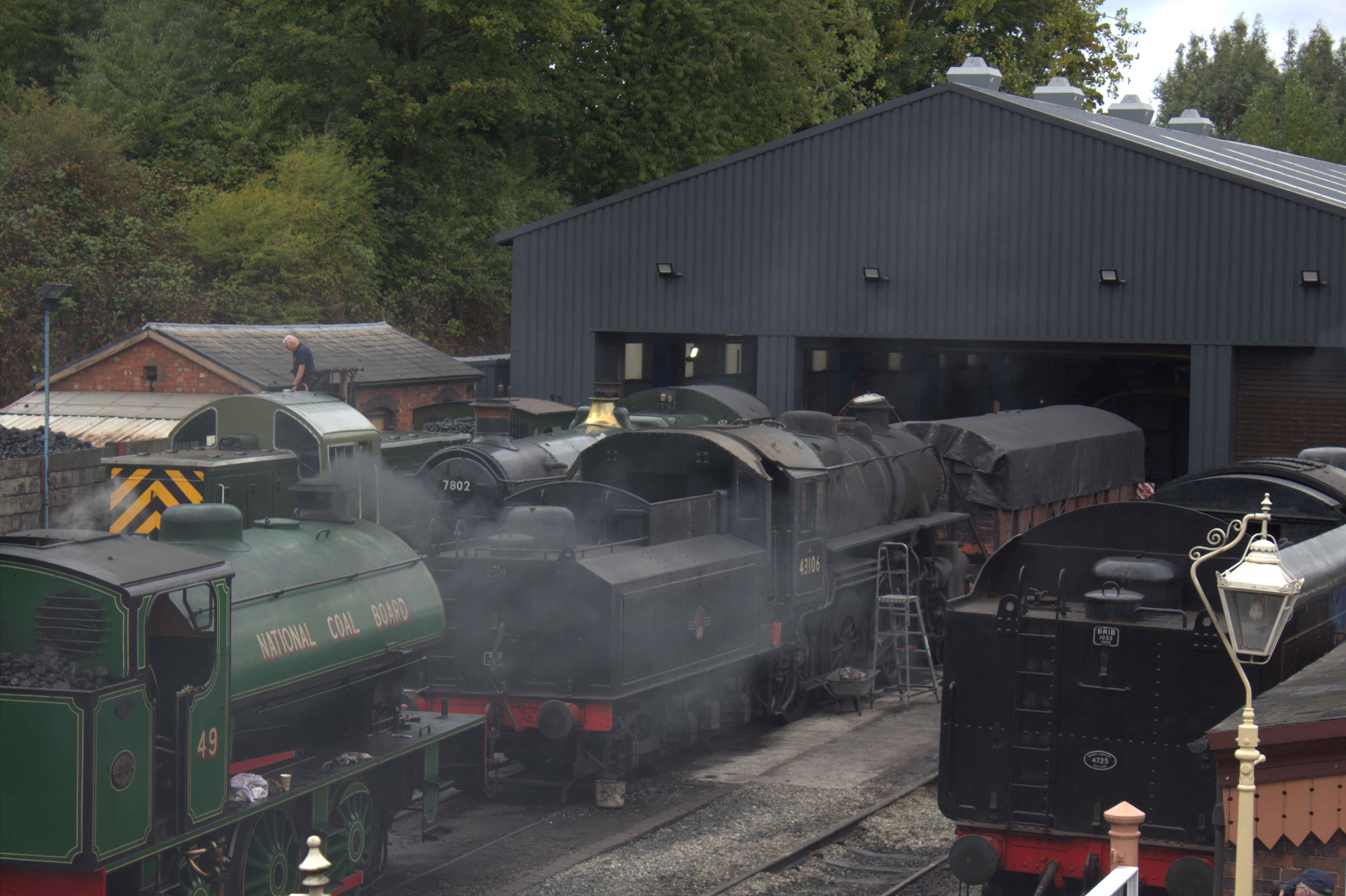 A collection of trains in a yard